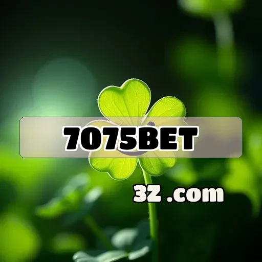 Fantasy Esportivo e Emoção: Atrações da 7075 bet